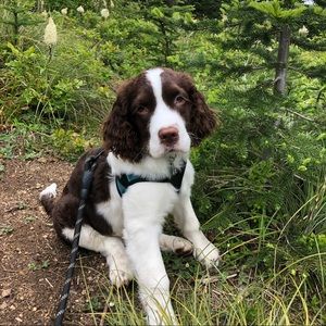 Meet your Posher, Aly